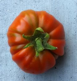 tomatotop